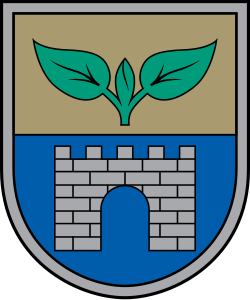 Salaspils novads COA